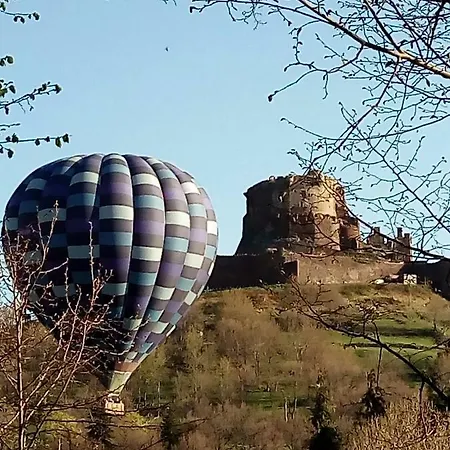 Les Iris